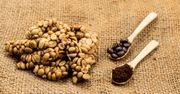 Kopi luwak – powstawanie, smak i cena