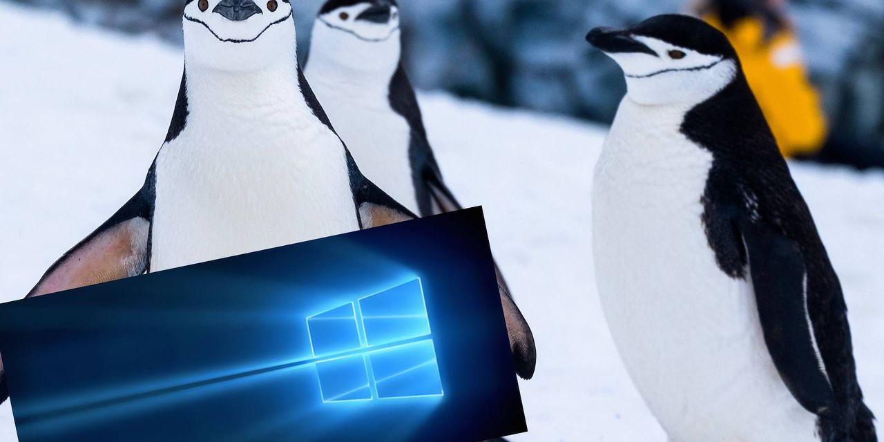 Linux wyprzedził Windowsa w Azure – przyznaje sam Microsoft