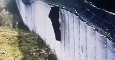 Bariera nie do przejścia. Nagranie z granicy z Białorusią podbija sieć