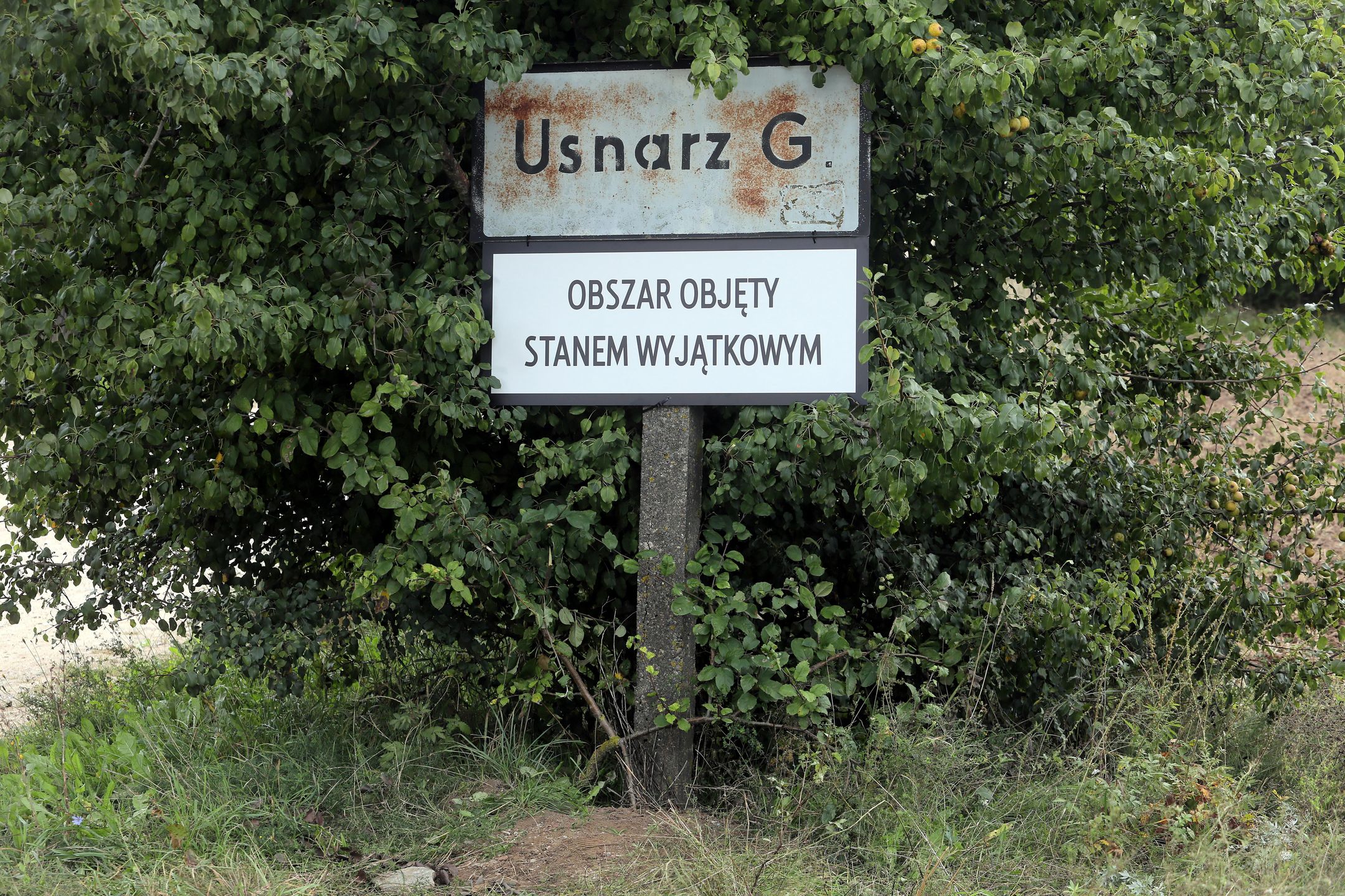 Stan wyjątkowy. Konfederacja z zastrzeżeniami 
