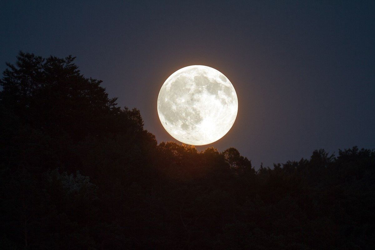 Truskawkowy Księżyc: na czym polega zjawisko? 5 czerwca zobaczymy  pełnię Truskawkowego Księżyca