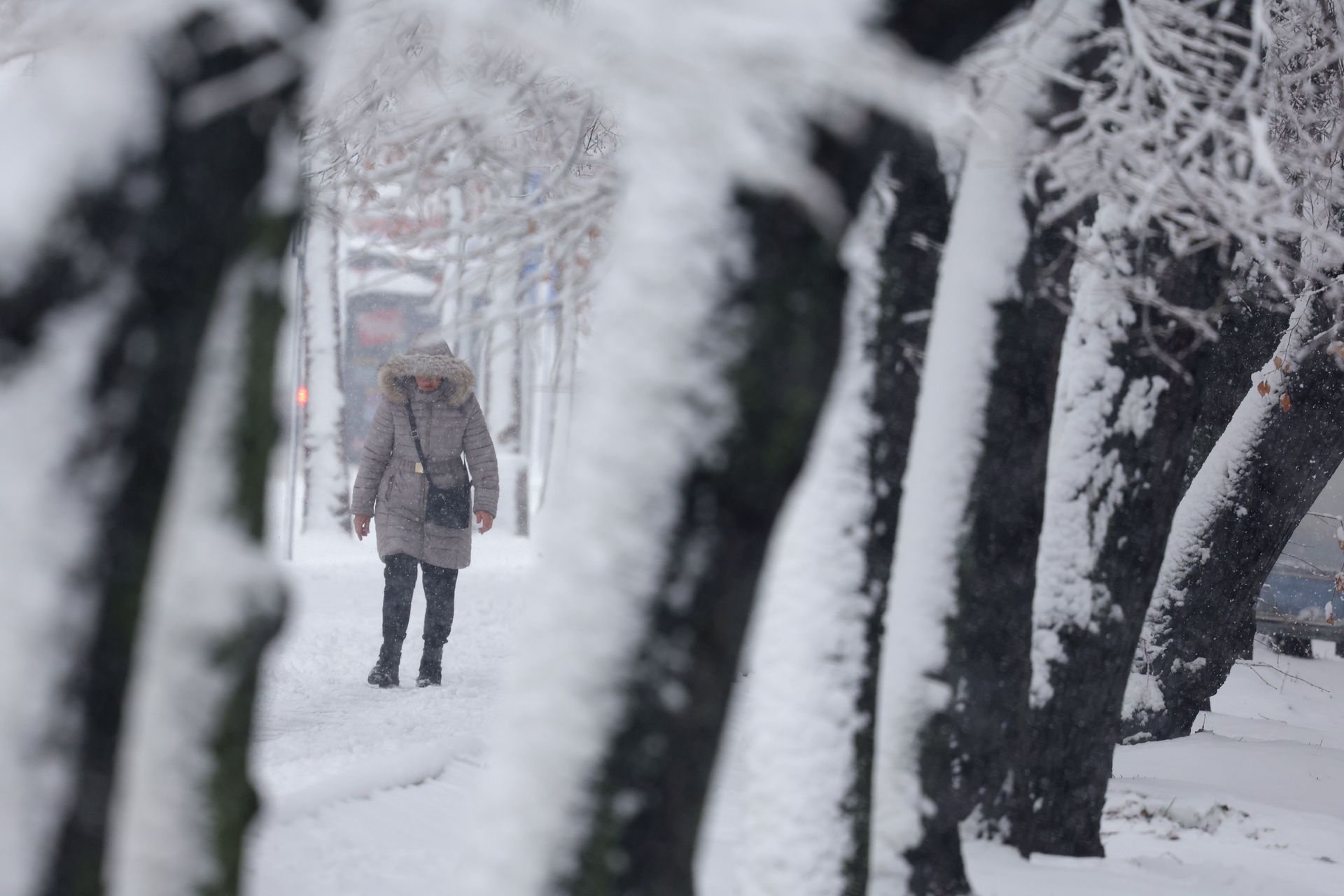 wiadomości,aktualności,WP Wiadomości Atak zimy na Bałkanach. Stany nadzwyczajne, trudne warunki