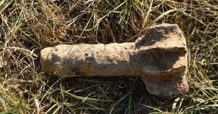Kopał ziemniaki, znalazł granat. Na miejscu pojawili się saperzy