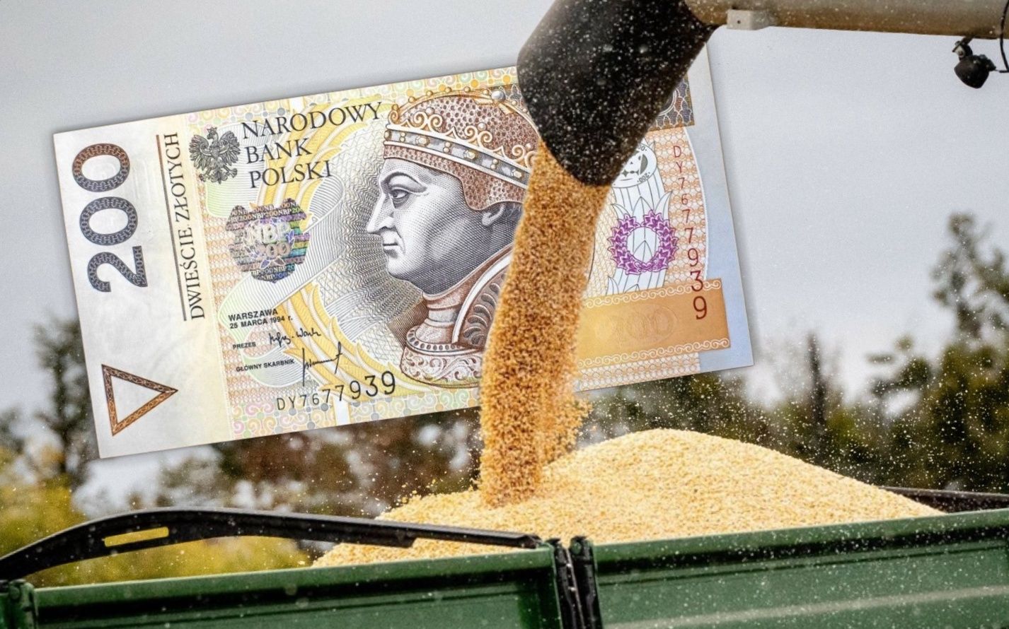 To największa bolączka rolników. Dwie grupy cierpią najbardziej