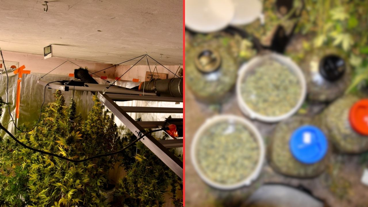 Znaleźli sekretne pomieszczenie. Ogromne odkrycie w piwnicy