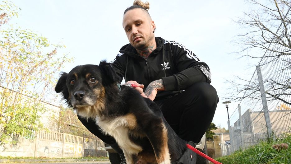 Prawdopodobnie po wypadku komunikacyjnym stracił władanie w tylnych łapach, ale mimo to cieszy się z każdego spaceru i nie traci pogody ducha. Na zdjęciu z Patrykiem Walkowiakiem, pracownikiem placówki. 