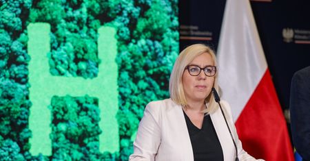 Wzór wniosku o bon energetyczny. Możesz go pobrać tutaj