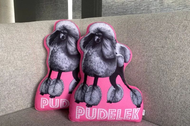 Poduszka Pudelka