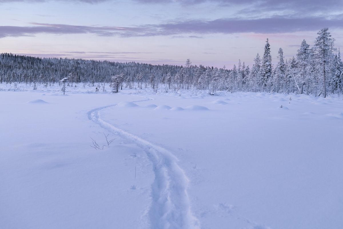 Laponia znajduje się 154 km od tej granicy