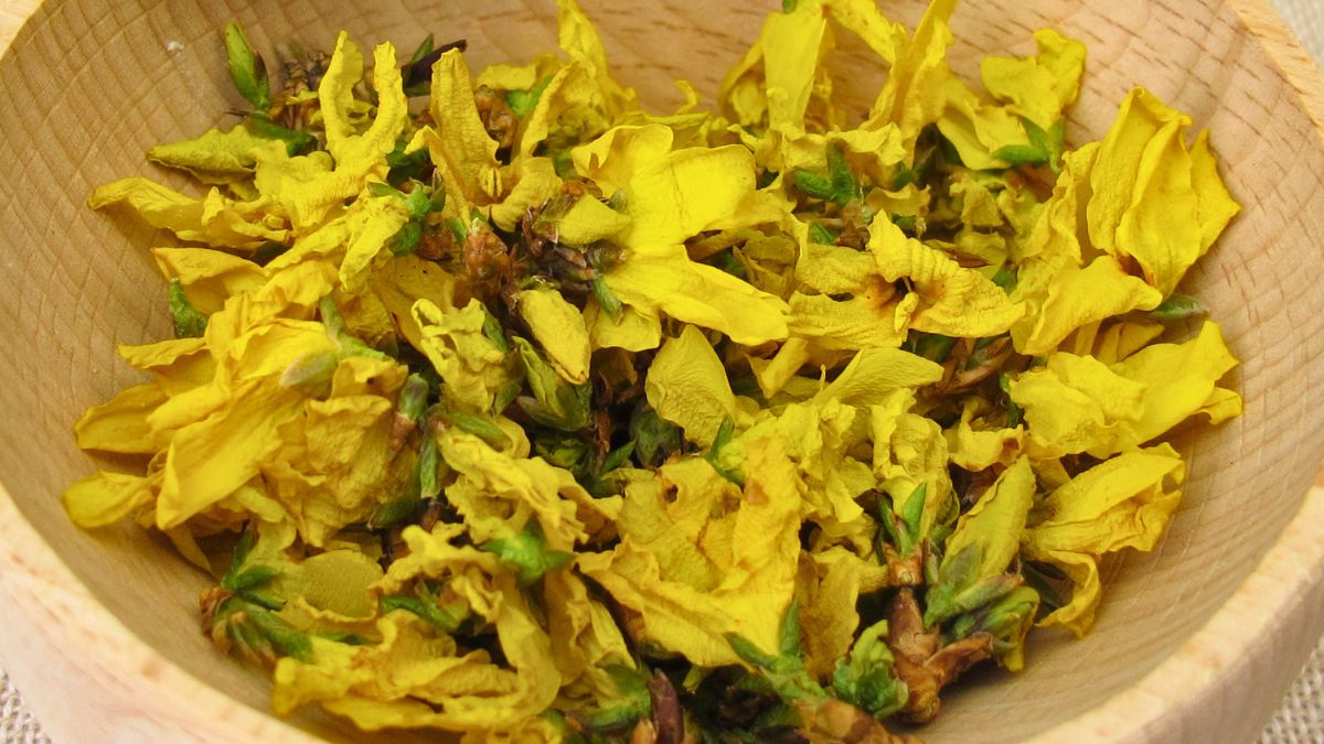 Te kwiaty świetnie sprawdzą się na syrop