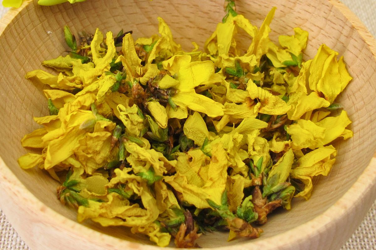 Te kwiaty świetnie sprawdzą się na syrop