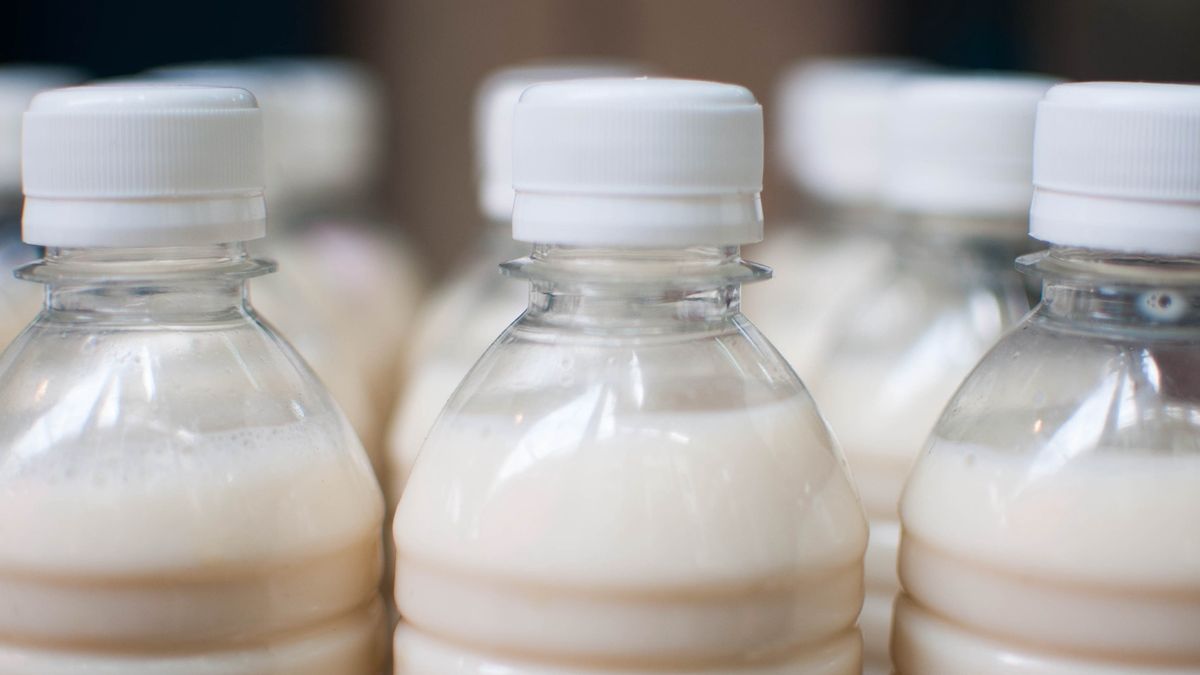 Napój sojowy zawiera fitoestrogeny, których działanie przypomina ludzkie estrogeny