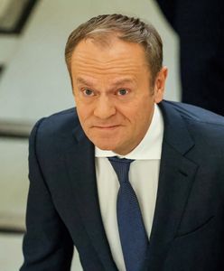 Ponad setka nominacji. Tusk pobił rekord Morawieckiego