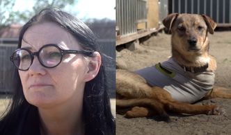 Pudelek odwiedza psi Azyl. Prezes Fundacji Dom dla Kundelka: "Zbieramy psiaki z ulicy, interwencji i po wypadkach"