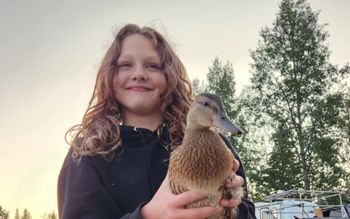 Tragedia w Kanadzie. 12-latka walczy o życie. "Potrzebuje cudu"