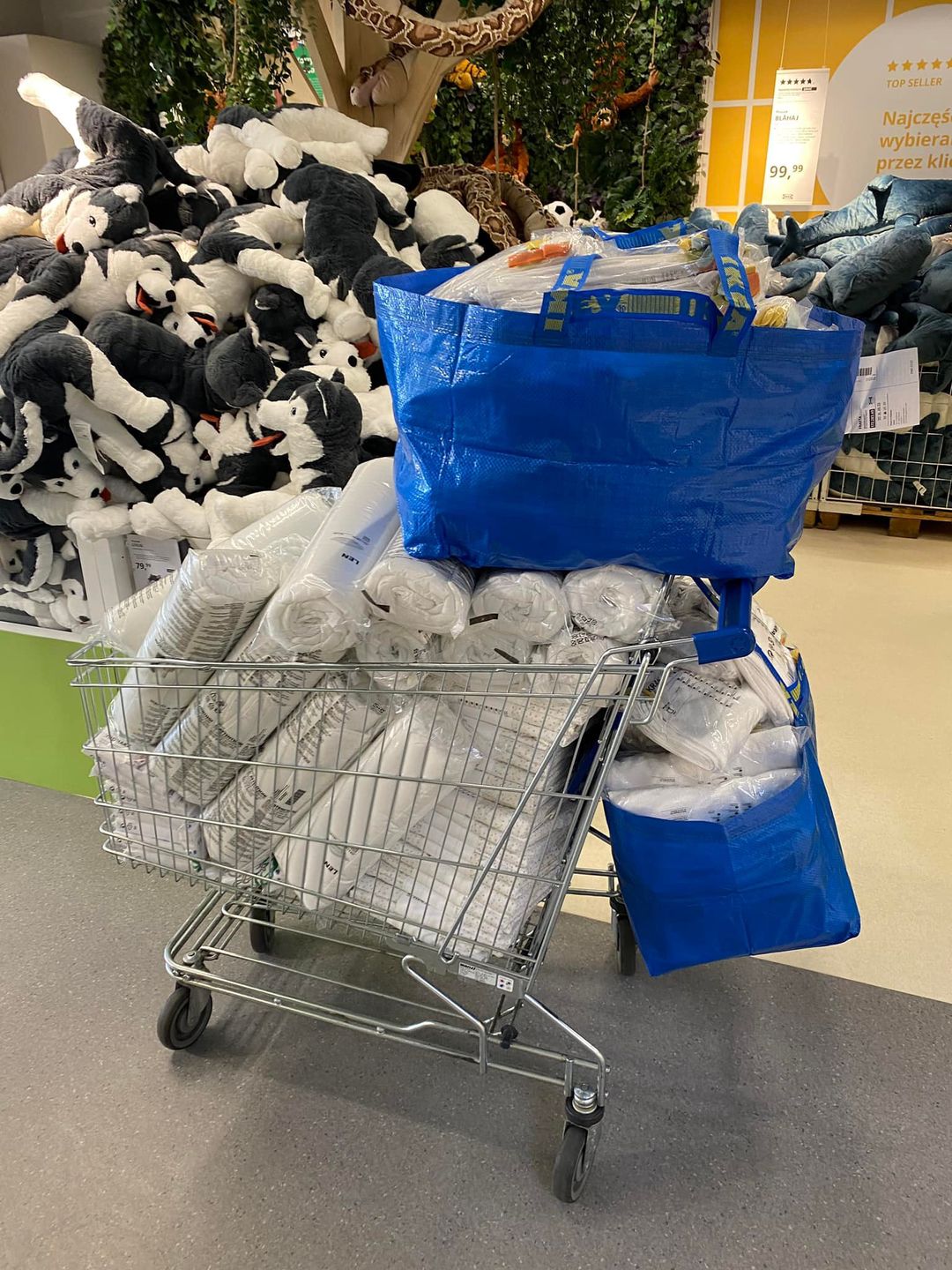 ikea, pomoc dla ukrainy