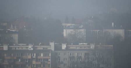 Koniec z paleniem w kominku. Pierwsze województwo z takim zakazem