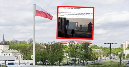 Niemcy piszą o 8 maja. Przyjrzeli się postawie Polaków
