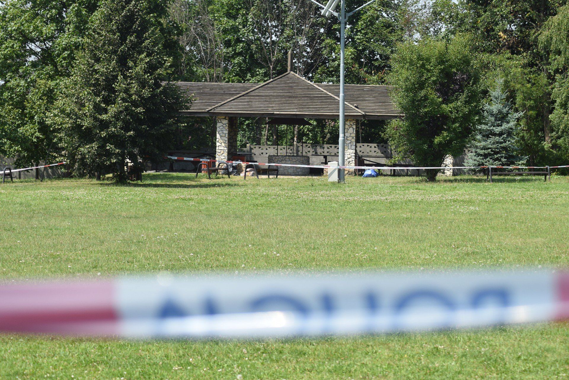 Zwłoki Jacka Jaworka zostały znalezione w Dąbrowie Zielonej