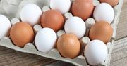 Jakie znaczenie ma kolor skorupki jajka? Niektórzy będą zdziwieni