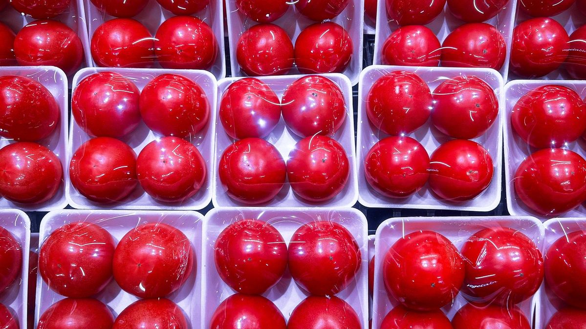 Pristine Packaged Red Tomatoes
An image of vibrant red tomatoes, each piece exhibiting a glossy sheen, carefully packaged in pairs within transparent plastic trays. The tomatoes are organized in rows, filling the frame with a rich, red hue, showcasing their freshness and uniform size, ready for distribution or retail display.
DigiPub