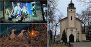 Sosnowiec: Świąteczna tradycja w Kościele Kolejowym