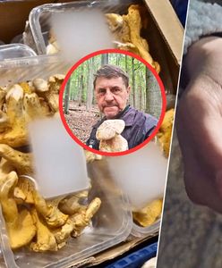Potężna cena za kilogram kurek. Znawca grzybów mówi o pewnym zjawisku