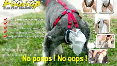 PooTrap, czyli jak ucywilizować psa 1