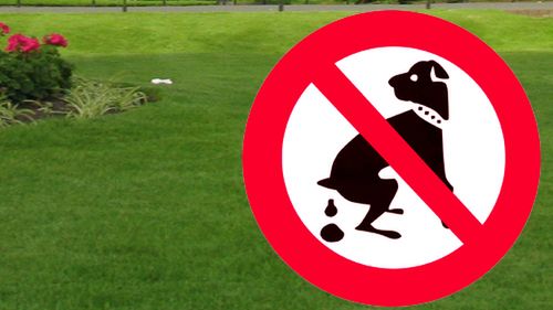 Śmierdzący problem, czyli jak sprzątać po swoim psie 1