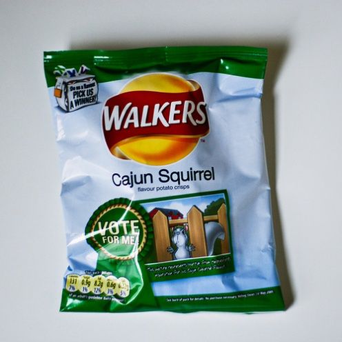 walkers squirrel