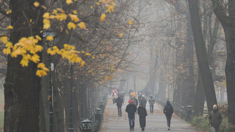 Pogoda. IMGW ostrzega. Uwaga na gęste mgły