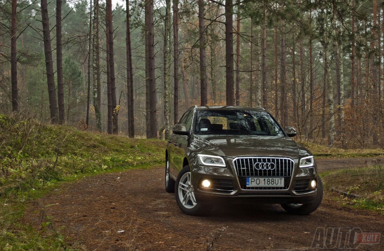 Używane Audi Q5 I - typowe awarie i problemy