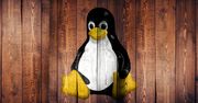 Linux Kernel 5.8 dostępny. To miało być "jedno z największych wydań w historii"