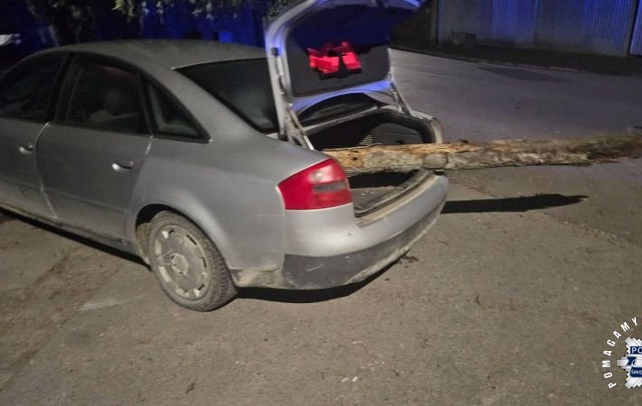 Przekonywał, że był na grzybobraniu. Tyle pokazał alkomat