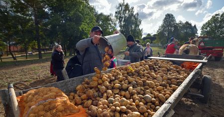 "Mamy ogromne obawy". Kolejny produkt z Ukrainy zalewa Polskę