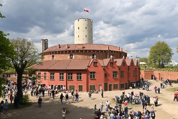 "Pilne wyjaśnienia". Festiwal techno może zagrażać nietoperzom