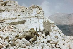 Historycy nazywają ją rzezią. Jedna z najstraszniejszych bitew XX wieku