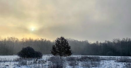 Pogoda. Wrocław. 8 marca - śnieg w Dzień Kobiet. Wiosna od piątku