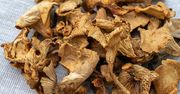 Najgorszy błąd przy suszonych grzybach. Wszystkie wyrzucisz, bo podejdą wilgocią i spleśnieją