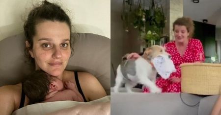 Zofia Zborowska i Andrzej Wrona prezentują pierwsze spotkanie suczki Wiesi z ich córką. "Oficjalnie została starszą siostrą"