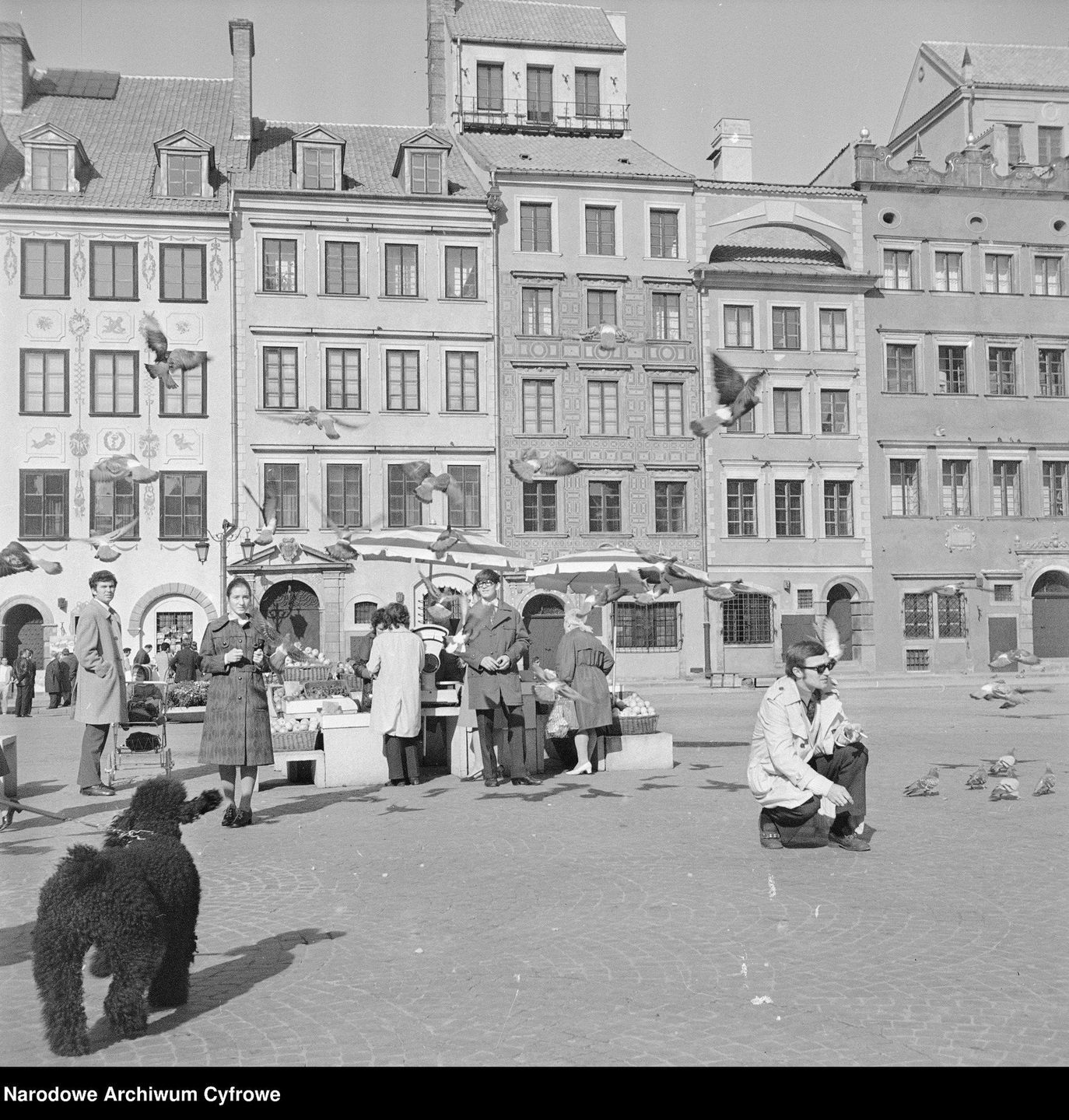 Stare Miasto na archiwalnych fotografiach