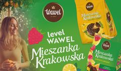 Mieszanka Krakowska z kampanią telewizyjną. Spot z AI