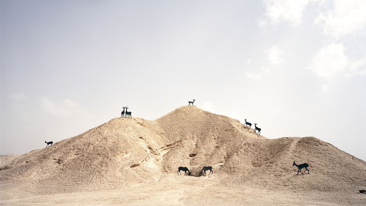 Fotoblogia patronuje: II Opolski Festiwal Fotografii 1