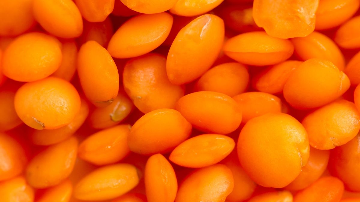 Dobrym źródłem cynku jest czerwona soczewica