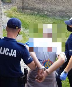 Ząbkowice Śląskie. 2-latek potrącony na pasach. Kierowca usłyszał zarzuty