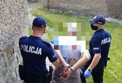 Ząbkowice Śląskie. 2-latek potrącony na pasach. Kierowca usłyszał zarzuty