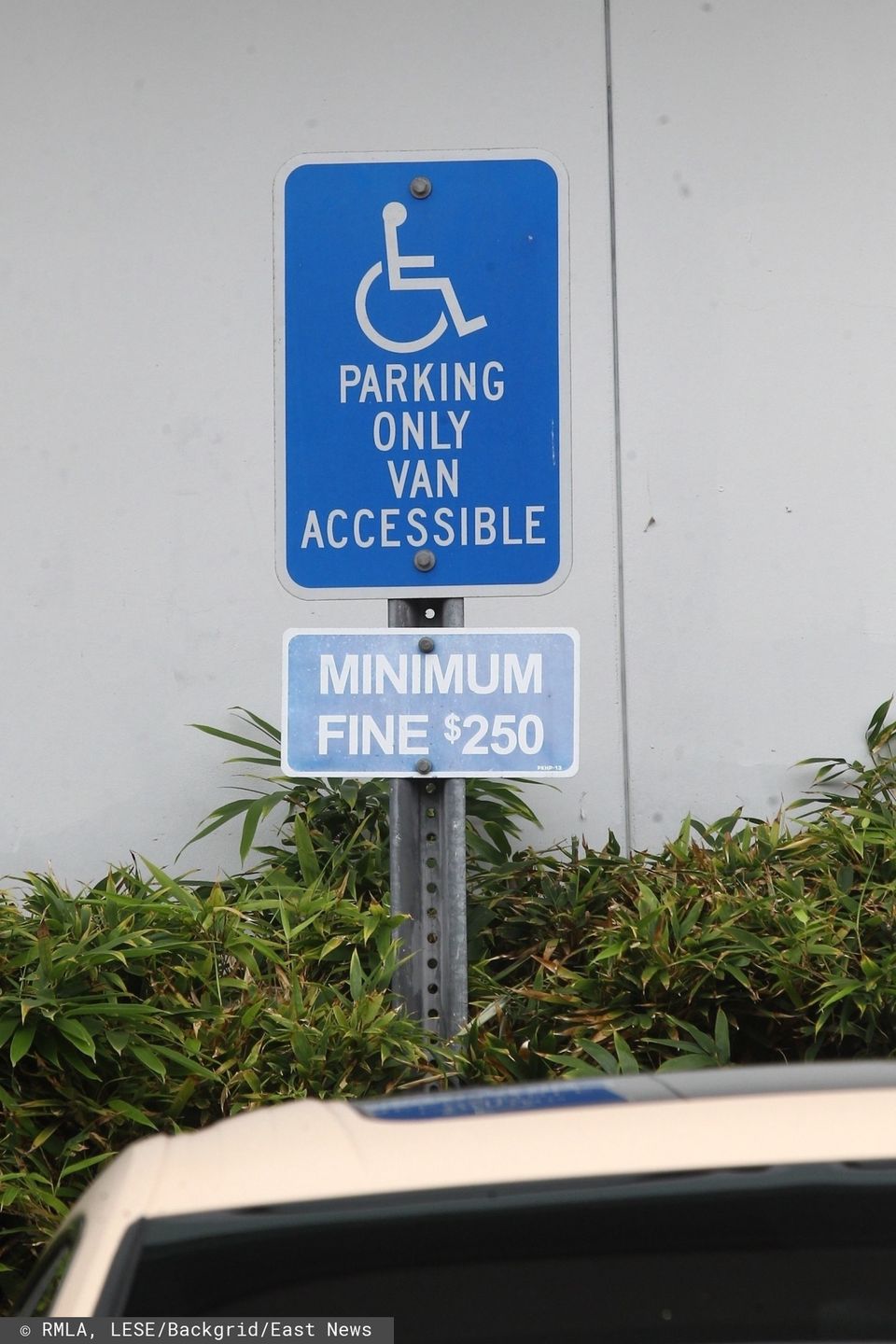 Justin Bieber i Hailey Bieber zastawiają miejsce dla niepełnosrpawnych