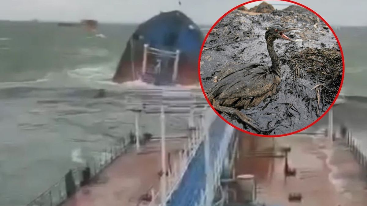 Zderzenie tankowców w Cieśninie Kerczeńskiej. Rosja podsumowała straty 