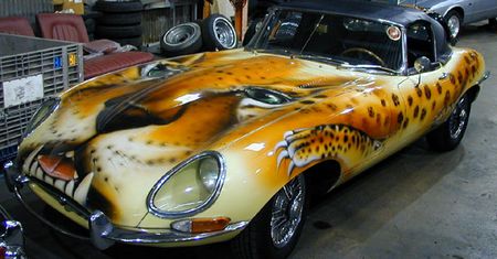 Jaguar z pazurem