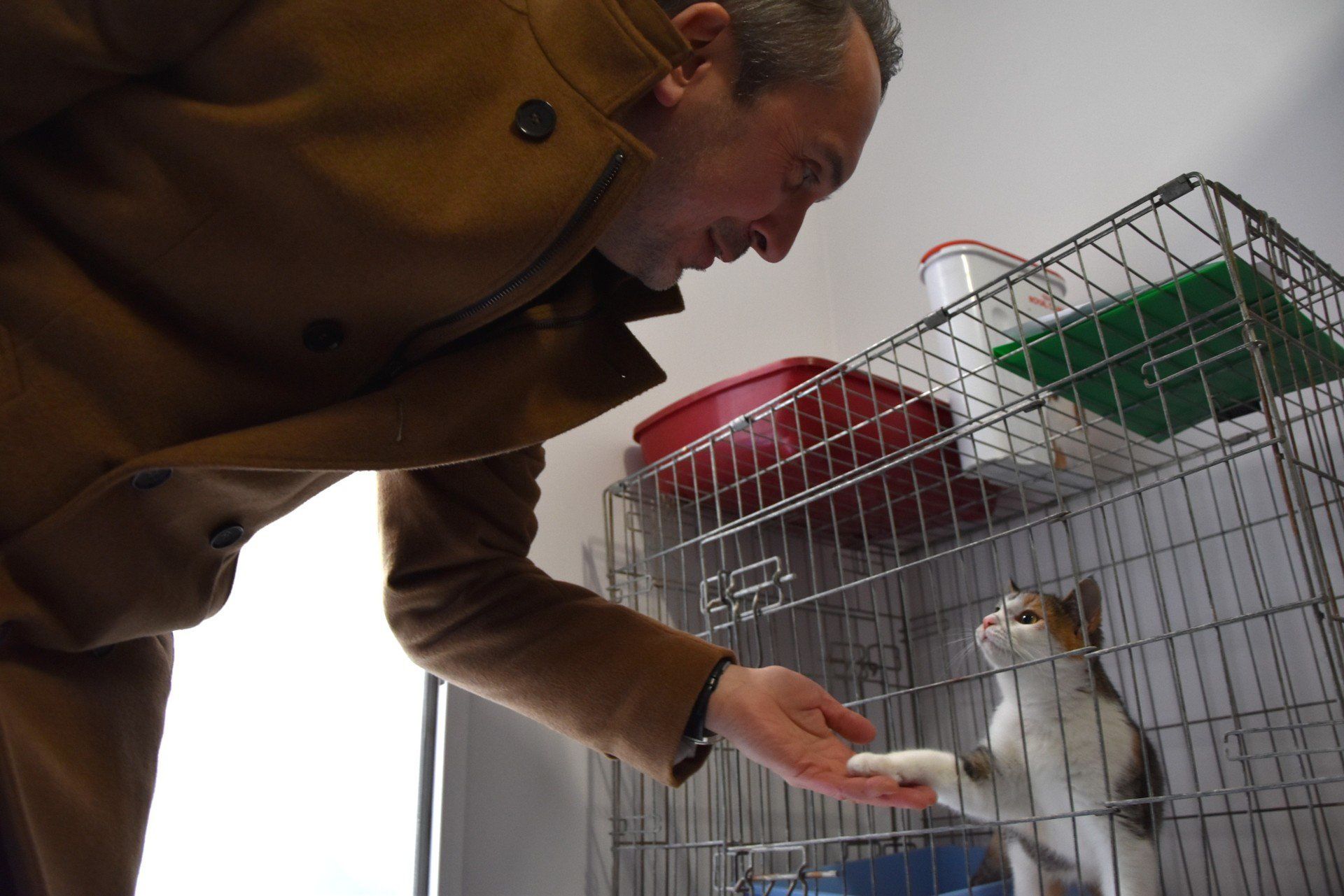 Zobacz zmiany w Schronisku dla Zwierząt w Zielonej Górze